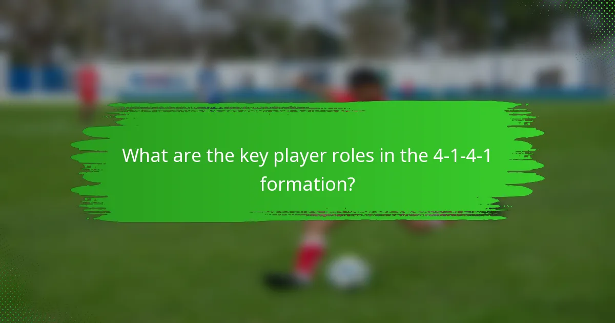What are the key player roles in the 4-1-4-1 formation?
