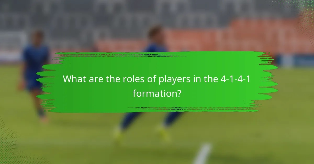 What are the roles of players in the 4-1-4-1 formation?