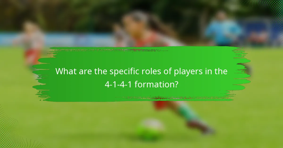 What are the specific roles of players in the 4-1-4-1 formation?