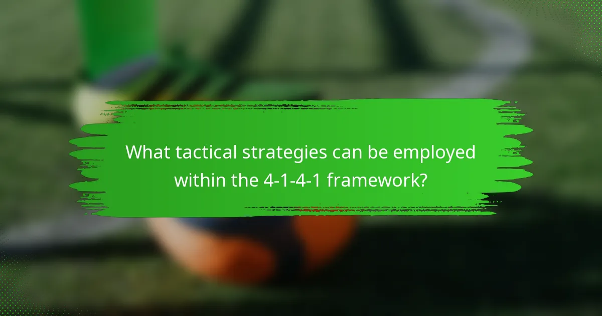 What tactical strategies can be employed within the 4-1-4-1 framework?